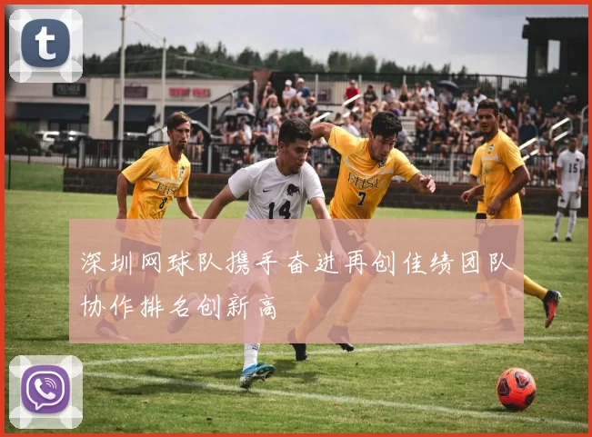 深圳网球队携手奋进再创佳绩团队协作排名创新高