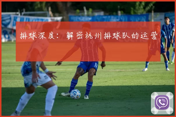 排球深度：解密杭州排球队的运营