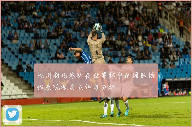 杭州羽毛球队在世界杯中的团队协作表现深度点评与分析