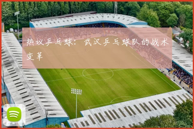 热议乒乓球：武汉乒乓球队的战术变革