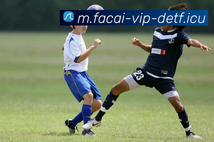 星空体育全站App